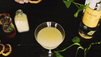 Drinks Cocktails GIF by Ilegal Mezcal