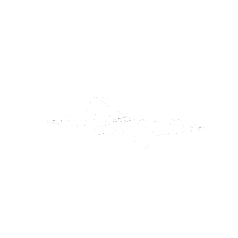 flutttr Sticker