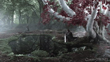 Gameofthrones GIF