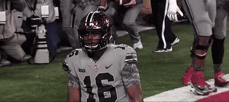 Ohio State GIF