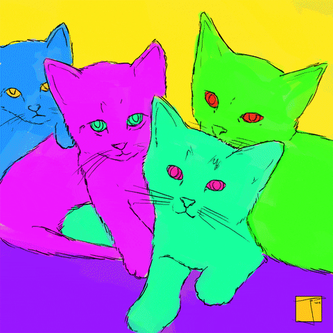 cats kittens GIF by Phazed