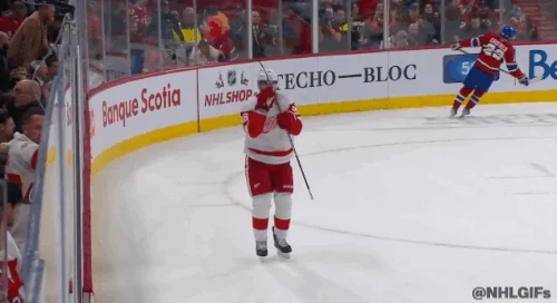 Happy Red Wings GIF