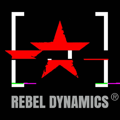 RebelDynamics robot computer rebel dynamics GIF