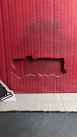 Stop Motion GIF