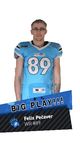 Sticker by Styrian Bears