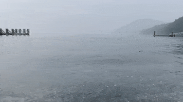 Climate Change Water GIF by Lake Street Dive