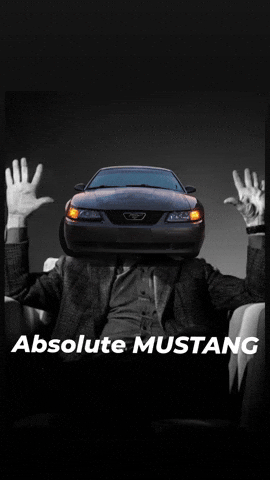 Mustang Gravy GIF