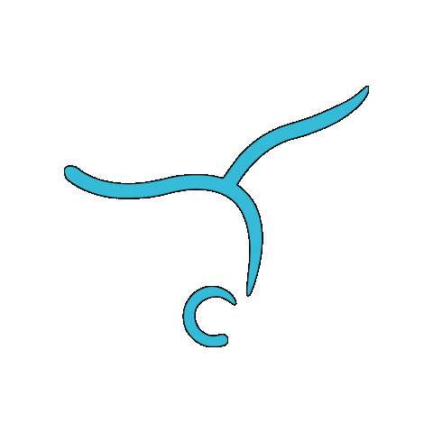 Sticker by Ginnastica Tigullio