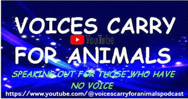 Animalwelfare Animaladvocatesradio GIF