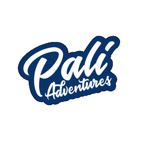 Summer Camp California Sticker by Pali Institute