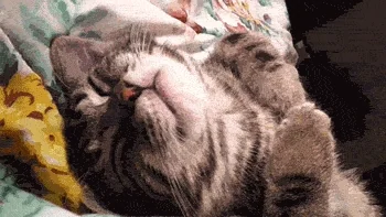 s___p dreaming GIF