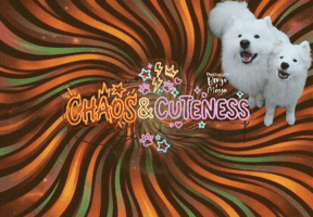 Chaos Maya GIF