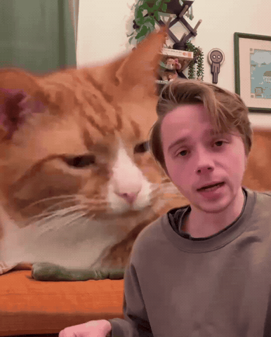 Growing Big Cat GIF