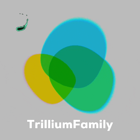 trilliumfamily kids family doctor mental health GIF