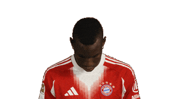 Fc Bayern Jackson Sticker by Bundesliga