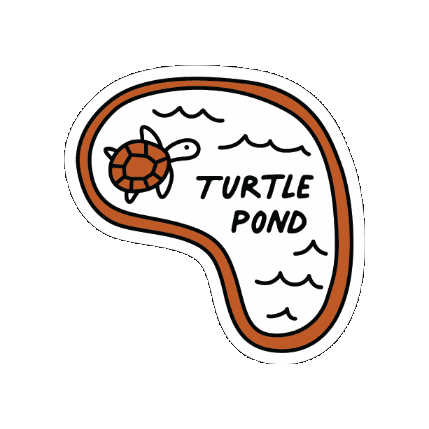 Sticker by College of Education at UT Austin