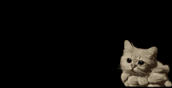 smoke GIF