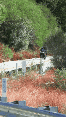 Bikes Yamaha GIF by Project65Studios