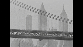New York Nyc GIF by US National Archives