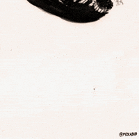 cockroach GIF by Animation Domination High-Def