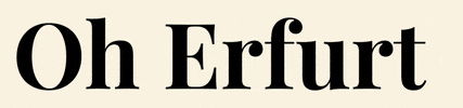Feels like Erfurt GIF