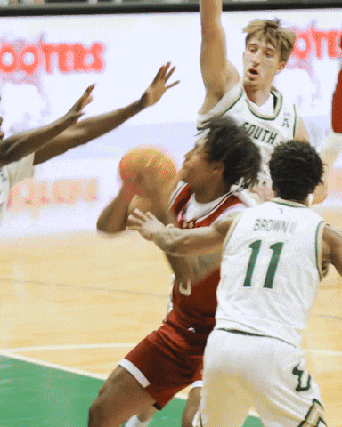 College Of Charleston GIF by Charleston Basketball