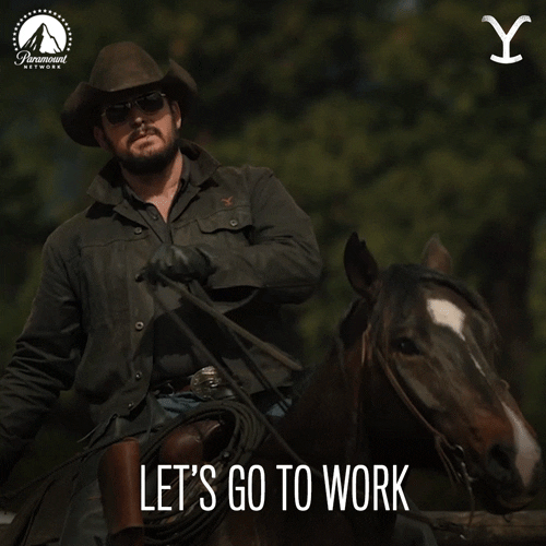 Paramount Network Horse GIF by Yellowstone Find & Share on GIPHY