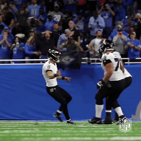 Baltimore Ravens Win GIF by NFL