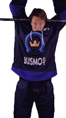 Kiekko-Espoo Sticker