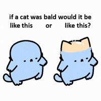 What If Cat GIF by sillynub