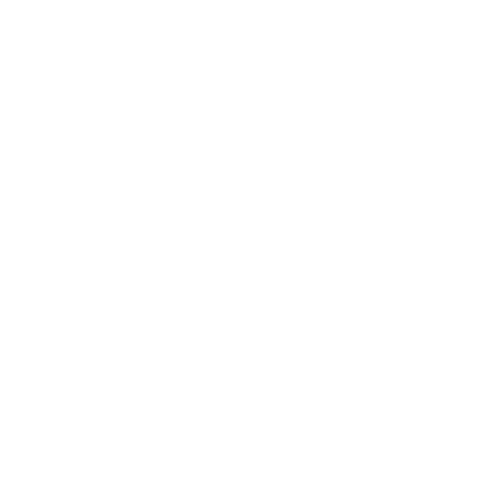 Spacefox Sticker