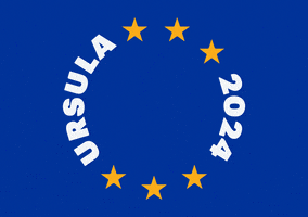 EuropeanPeoplesParty vote politics election europe GIF