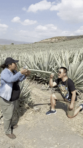 GIF by Renanza Realty Inc