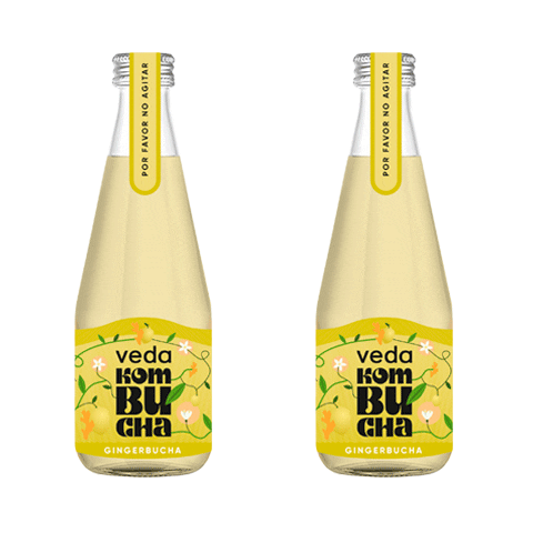 Kombuchadrink Sticker by vedakombucha