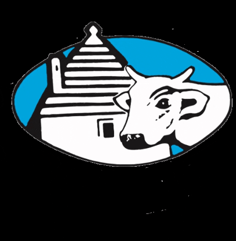 caseariapugliese GIF