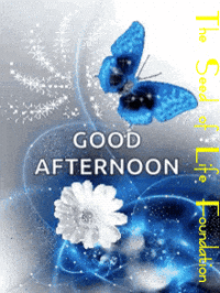 Afternoon Gifs Get The Best Gif On Giphy Afternoon Gifs Get The Best Gif On Giphy