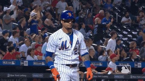 Ny Mets Clap GIF by New York Mets - Find & Share on GIPHY