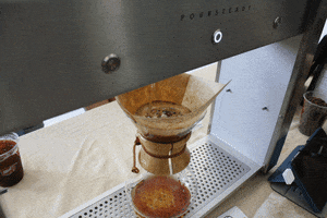 pandascoffee coffee cafe barista coffeeshop GIF