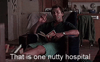 Tootsie GIF