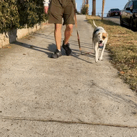 Hot Girl Walk