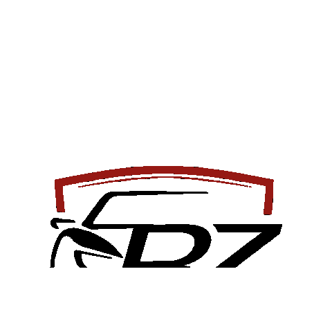 Car Tuning Sticker by BZ Performance GbR