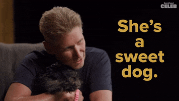 The Bachelor GIF by BuzzFeed