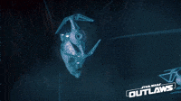 200w.gif