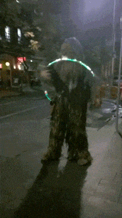 chewbacca