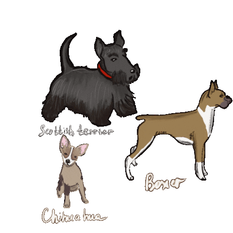 Dog Sticker