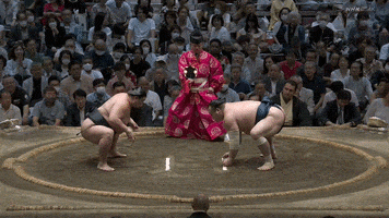 Sumo GIF