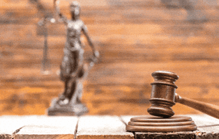 Robert Parrinelli GIF