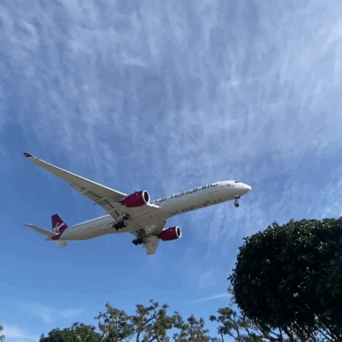 Travel Holiday GIF by Virgin Atlantic