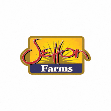 Vegan Protein GIF by Setton Farms