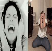 Reaction GIF
